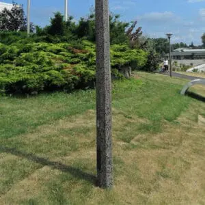 A K428 Phoenix fixture atop a Hexagonal Tapered pole.