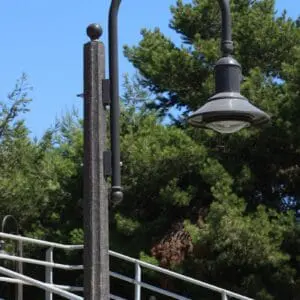 K723 Falconridge Jr. - Talisman A K723 Falconridge Jr. fixture accompanied by a Bishop Crook style arm on top of a Talisman pole.