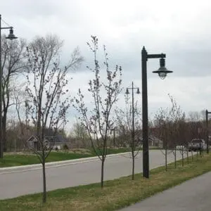 A K206 Marina accompanied by a light bracket arm on top of a Square Tapered pole.