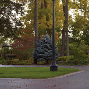 A K134 York fixture atop a California pole.