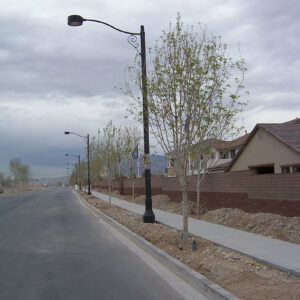 A light fixture accompanied by a custom-made arm all on top of a Centennial pole.