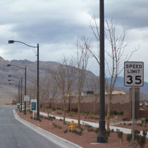 A light fixture accompanied by a custom-made arm all on top of a Centennial pole.