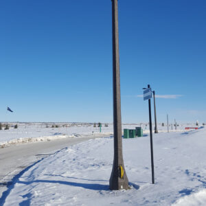 A light fixture accompanied by an Elliptical style arm on a Lorraine pole.