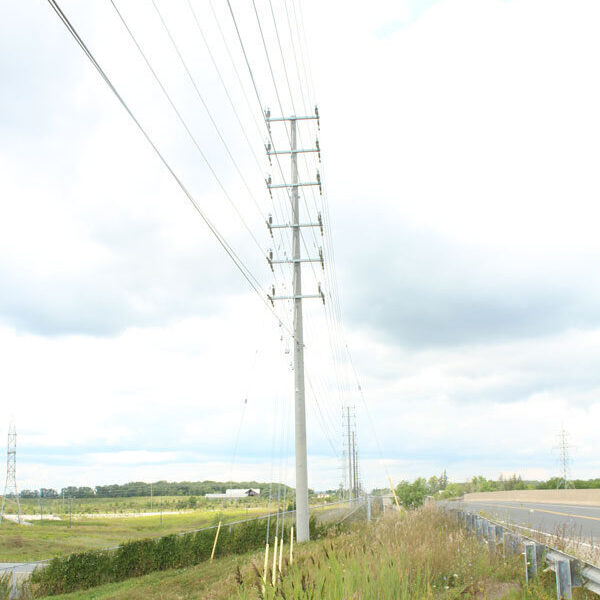 A spun concrete utility pole with a 'road crossing' application. Project is in a grassy, flat area next to a highway.