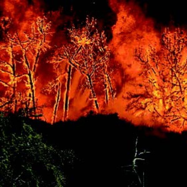 The historical Vandenberg Air Force wildfire caused extensive damage to the base's infrastructure. StressCrete's spun concrete poles, which had been installed prior to the wildfire, survived the onslaught of flames due to their fire resistant qualities.
