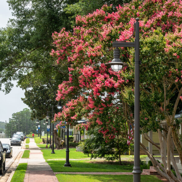 A K206 Marina pendent accompanied by a KA51 Marina 1 styed arm all on a metal pole. This project is located in a suburban neighborhood in Flowery Branch, Georgia.